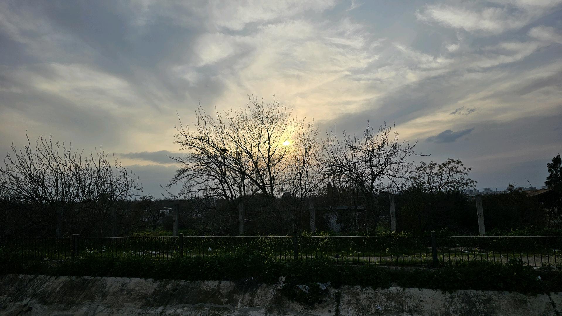 test55